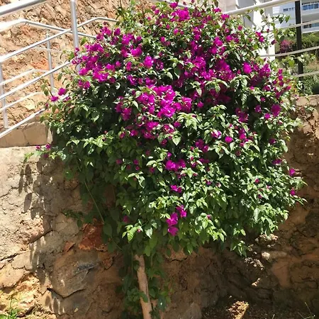 Apartment Waterfall Alanya